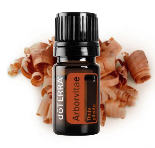 Arborvitae Essential Oil