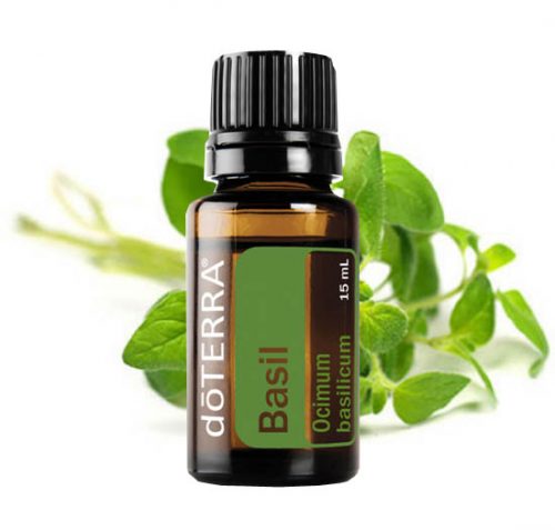 Basil Essential Oil