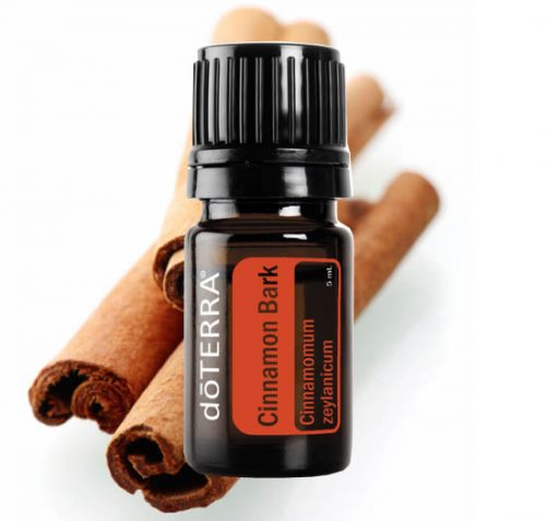 Cinnamon Essential Oil