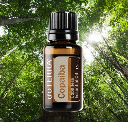 Copaiba Essential Oil