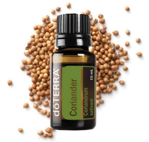 Coriander Essential Oil