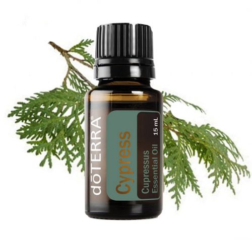 Cypress Essential Oil