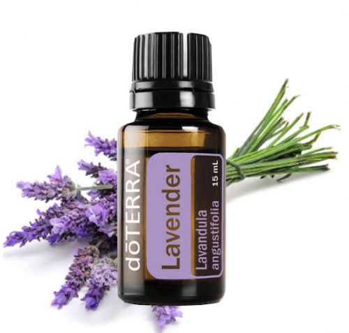 Lavender Essential Oil