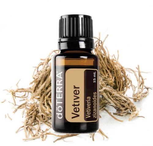 Vetiver Essential Oil