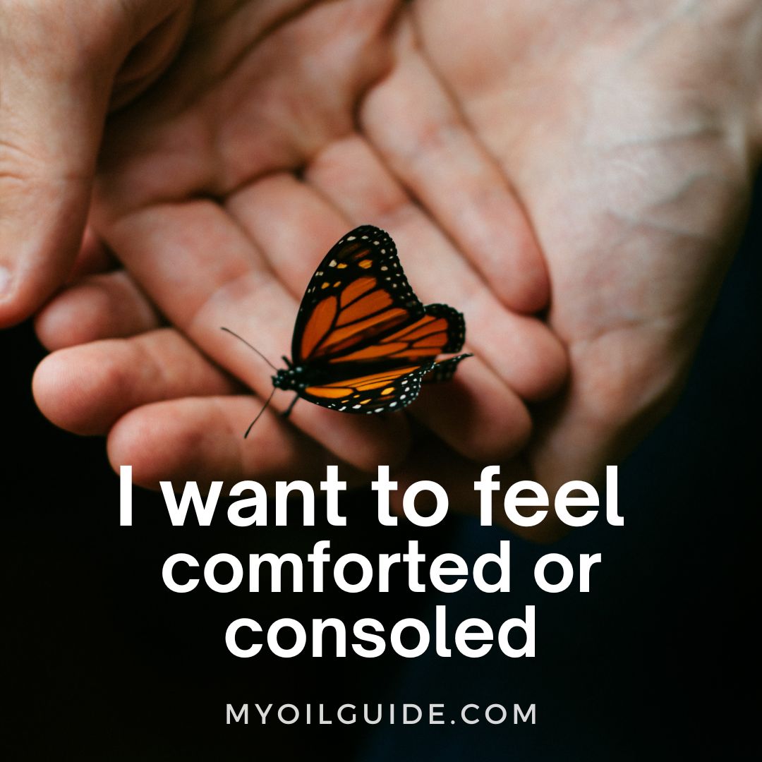 i want to feel comforted or consoled I want to feel comforted or consoled
